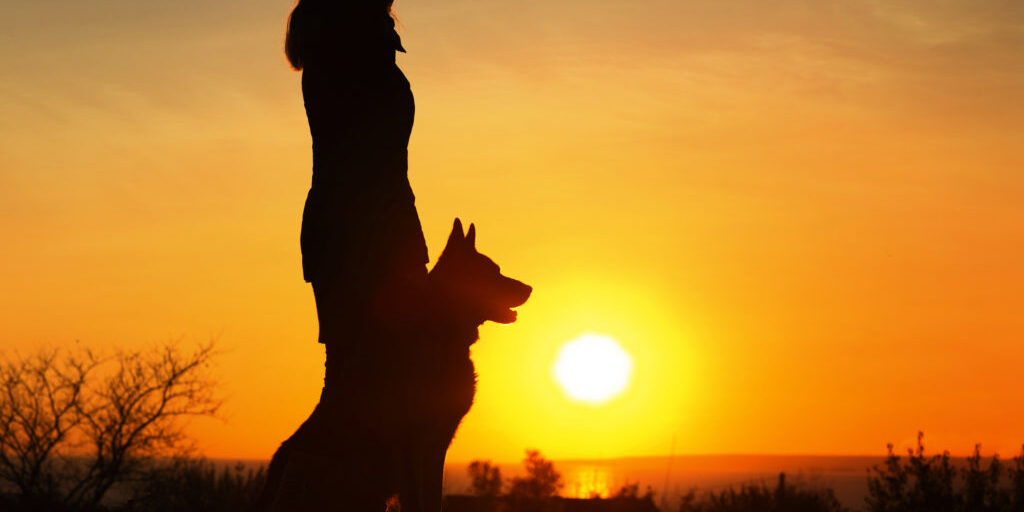 silhouette woman walking with a dog enjoying the sun set over the horizon in the field, pet obediently sitting near girl's leg on nature, German shepherd breed, concept friendship human and animal